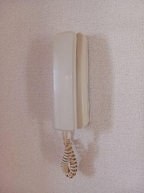 Naikan12 20261013000000 945x630
