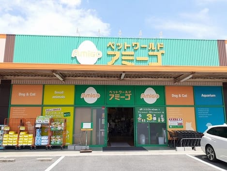 Naikan13 20260909000000