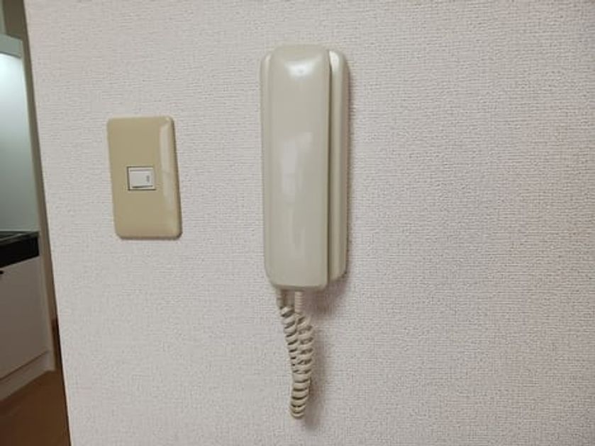 Naikan8 20261026000000 945x630