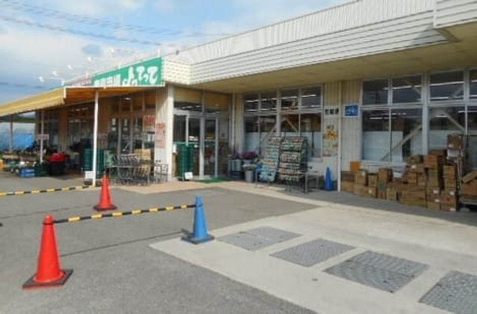 Naikan15 20250625000000 945x630