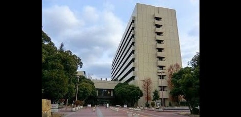 Naikan17 20250311000000 945x630