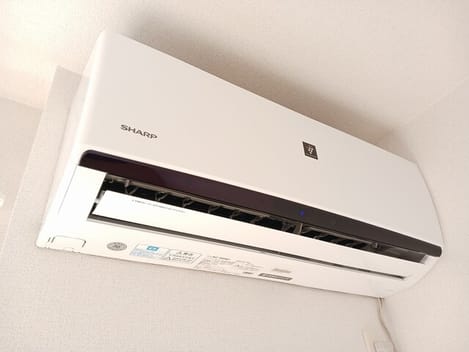 Naikan8 20250220000000