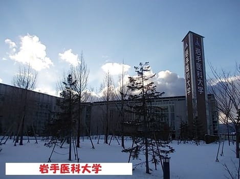 Naikan15 20210827000000