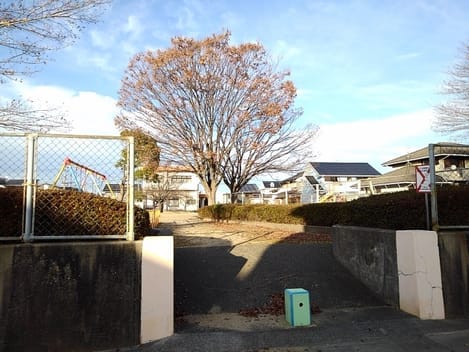Naikan14 20210805000000