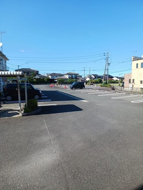 Naikan11 20260924000000