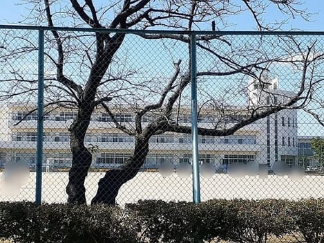 Naikan17 20220225000000