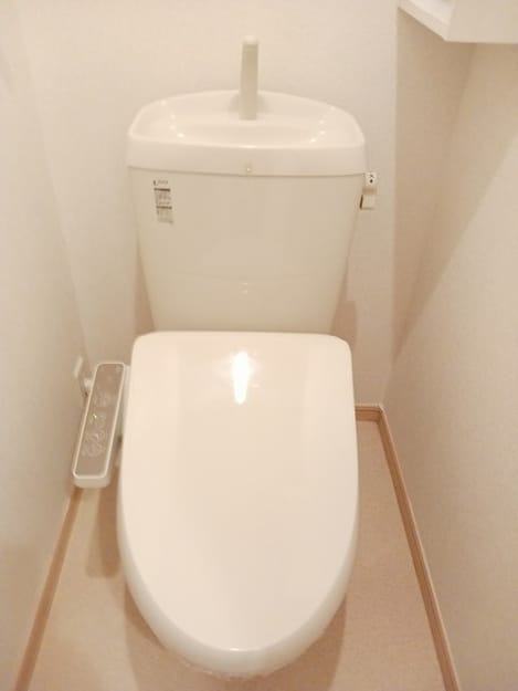 Naikan8 20250110000000