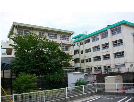 Naikan17 20250715000000