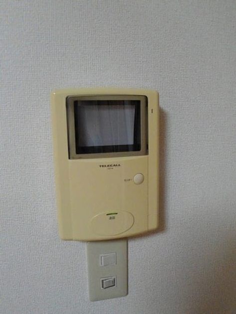 Naikan12 20220608000000 945x630