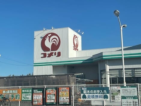 Naikan13 20260206000000