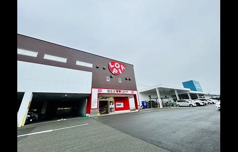 Naikan16 20260420000000