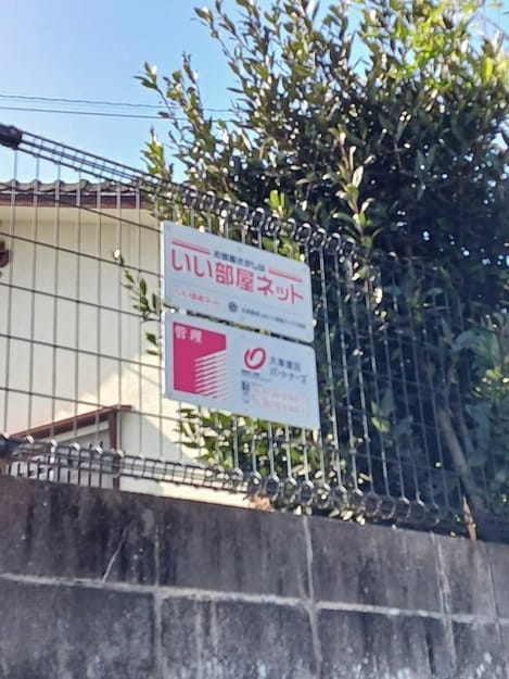 Naikan11 20260213000000