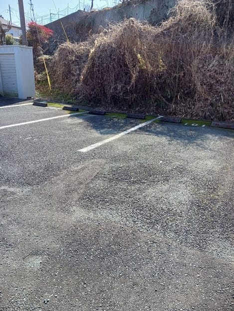 Naikan12 20260213000000