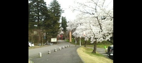 Naikan18 20210623000000