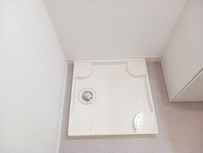 Naikan11 20261005000000 945x630
