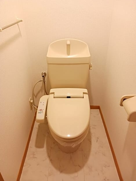Naikan9 20250519000000