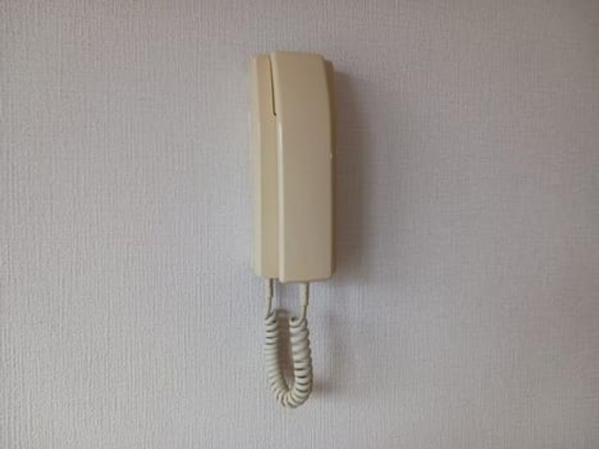 Naikan9 20250609000000 945x630