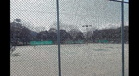 Naikan15 20200303000000