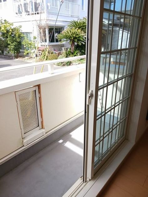 Naikan8 20241212000000 945x630