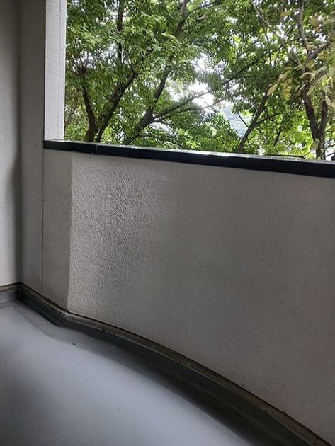 Naikan12 20261013000000 945x630