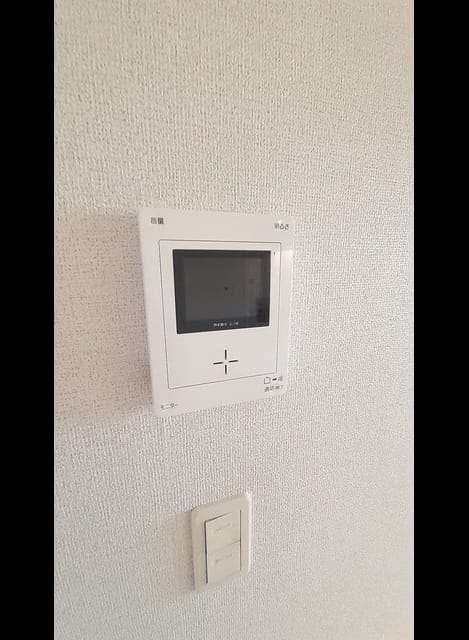 Naikan11 20230126000000