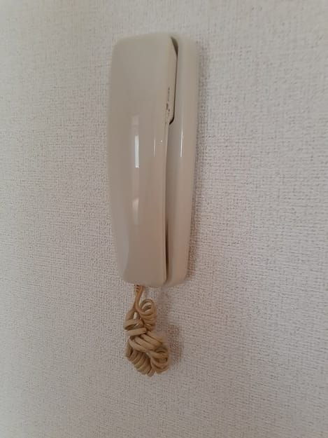 Naikan10 20240508000000