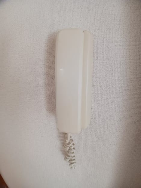 Naikan10 20241213000000