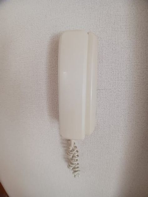 Naikan10 20241213000000 945x630