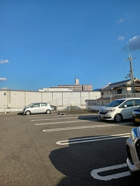 Naikan11 20250210000000 945x630