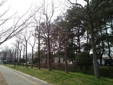 Naikan13 20220922000000