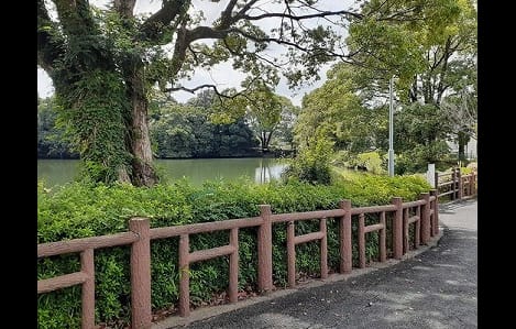 Naikan15 20241031000000