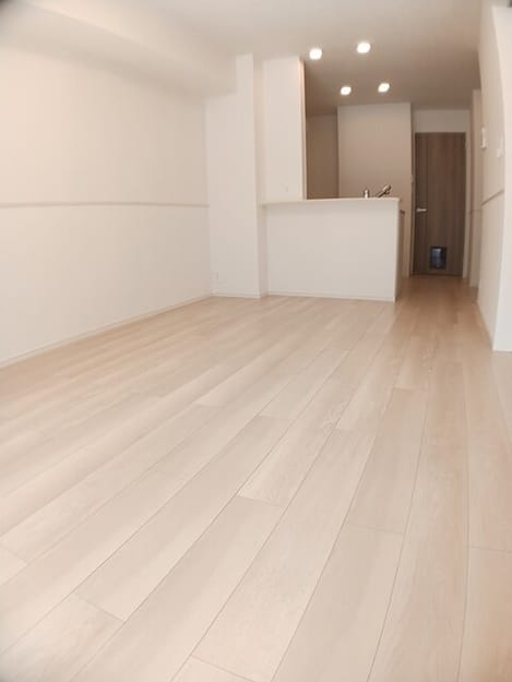 Naikan1 20250227000000