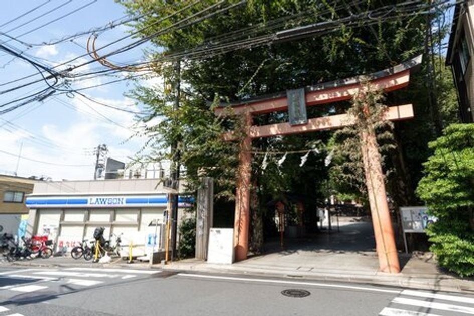 Naikan23 20250210181739 945x630