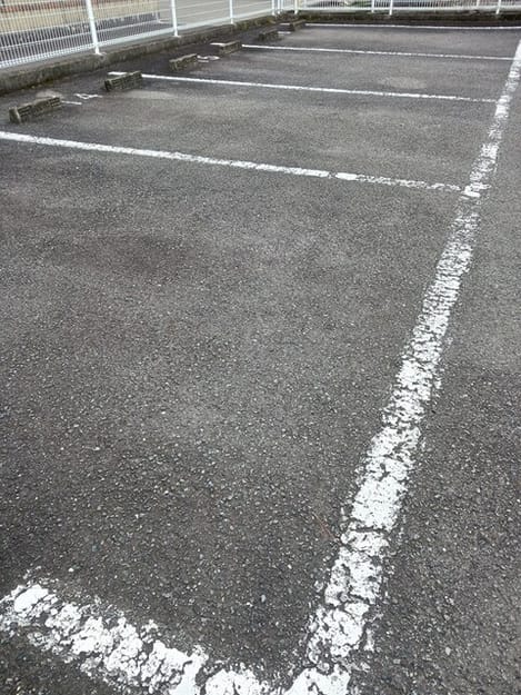 Naikan11 20260522000000