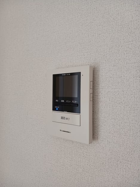 Naikan11 20250131000000