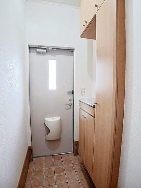 Naikan8 20250703000000 945x630