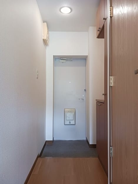 Naikan7 20250905000000