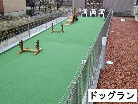 Naikan10 20250804000000
