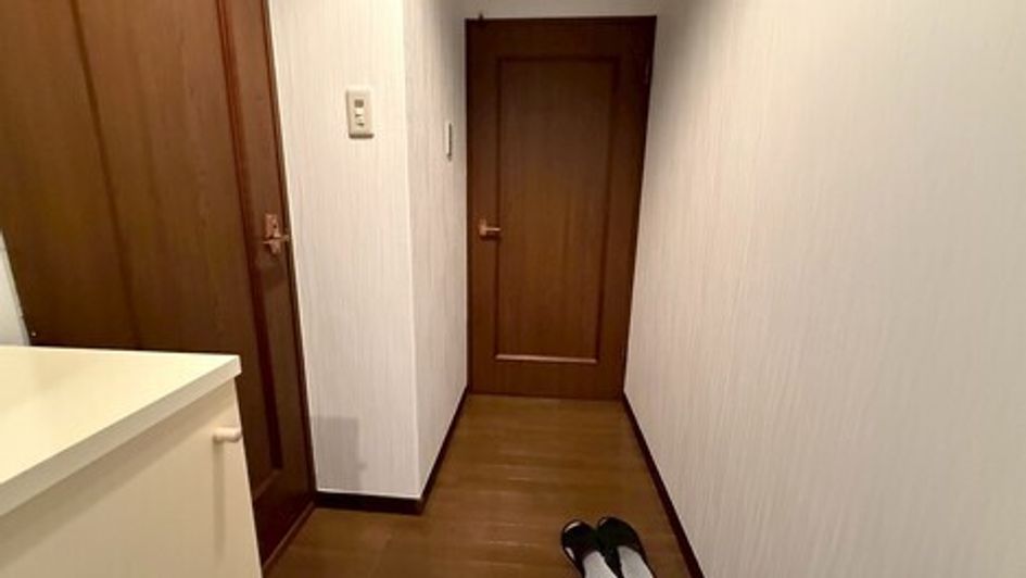 Naikan11 20251015180238 945x630
