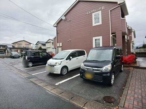 Naikan11 20251121000000